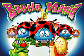 Beetle Mania BTD